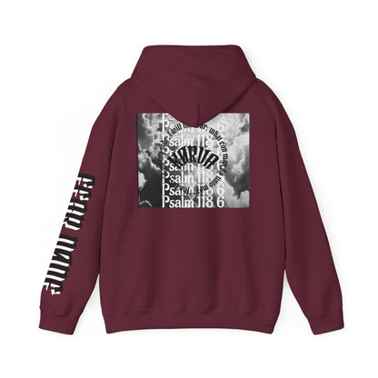 Psalms 118 6 code “FEAR NONE” hoodie